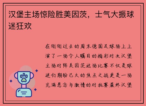 汉堡主场惊险胜美因茨，士气大振球迷狂欢